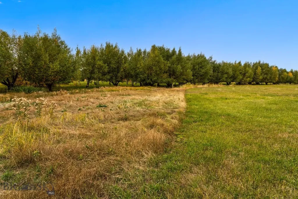 Tbd 19th Avenue Bozeman MT 59718