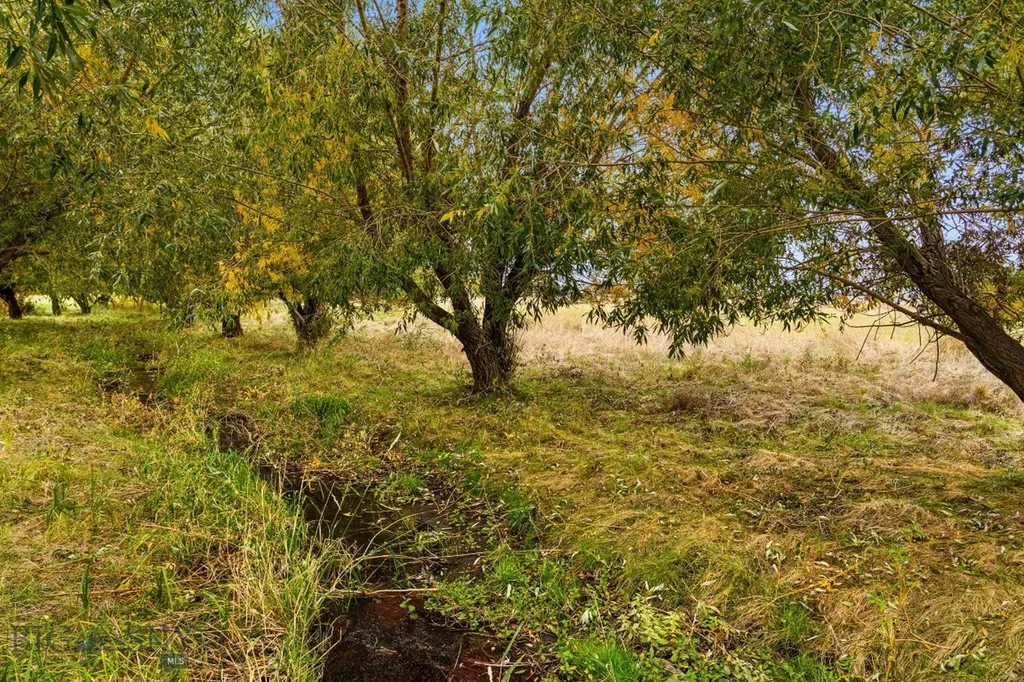 Tbd 19th Avenue Bozeman MT 59718