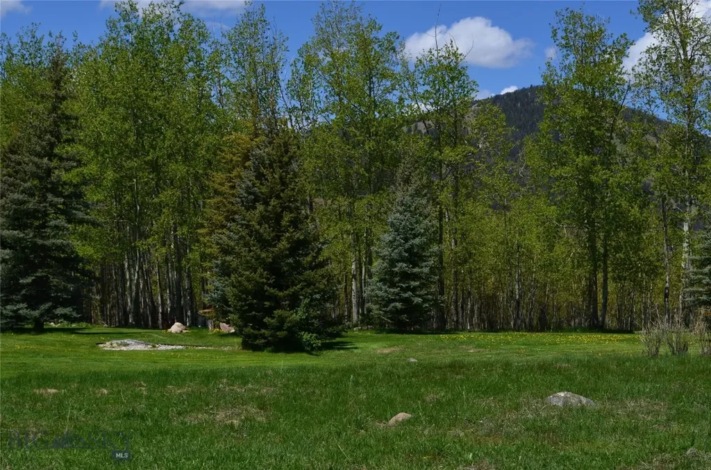 155 Moose Run Polaris MT 59746