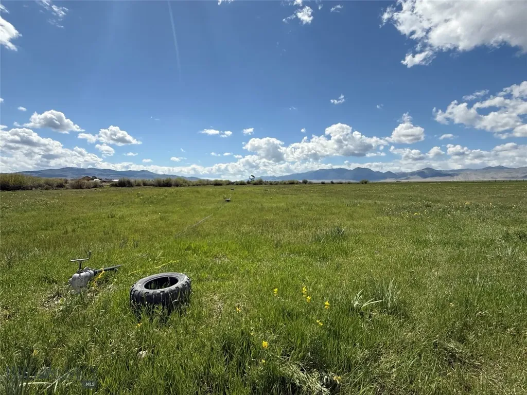Tbd Blacktail Road Dillon MT 59725