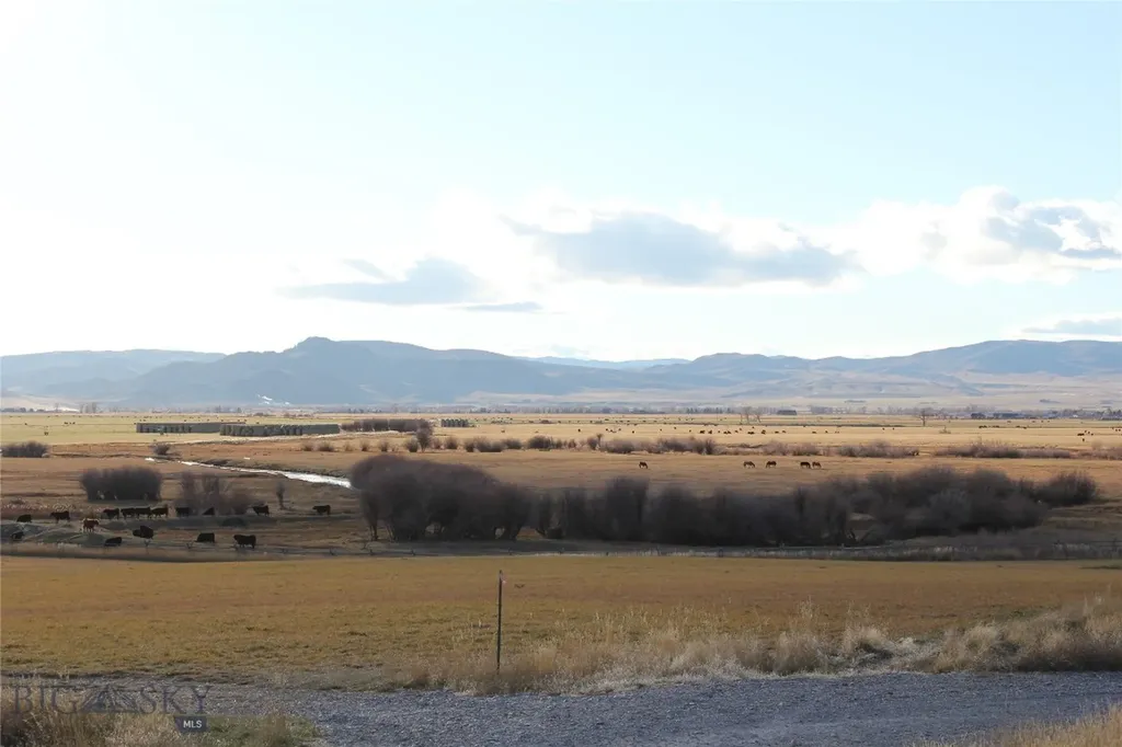 Tbd Blacktail Road Dillon MT 59725