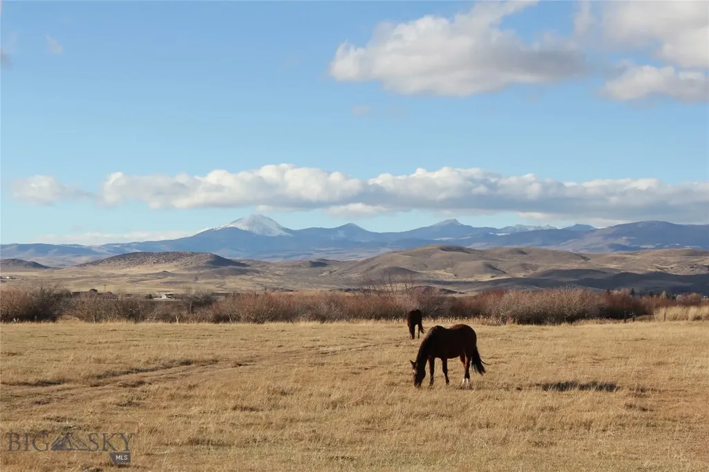 Tbd Blacktail Road Dillon MT 59725
