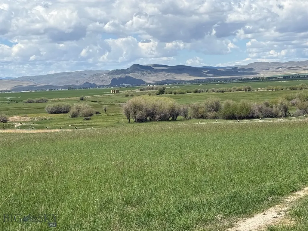 Tbd Blacktail Road Dillon MT 59725