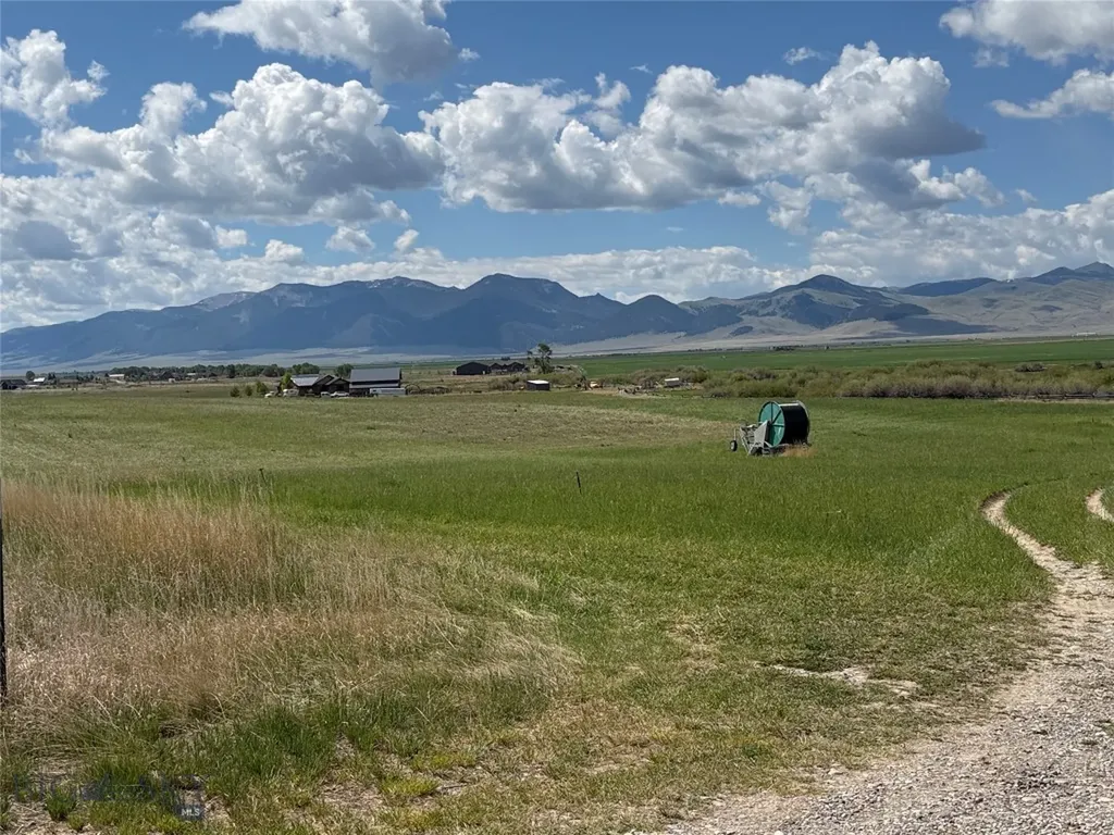Tbd Blacktail Road Dillon MT 59725