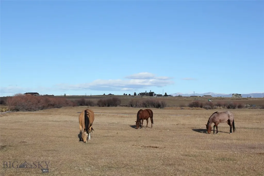 Tbd Blacktail Road Dillon MT 59725