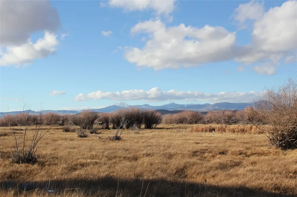 Tbd Blacktail Road Dillon MT 59725