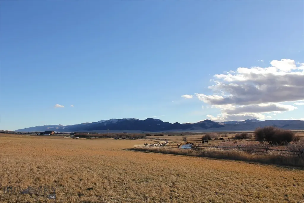 Tbd Blacktail Road Dillon MT 59725