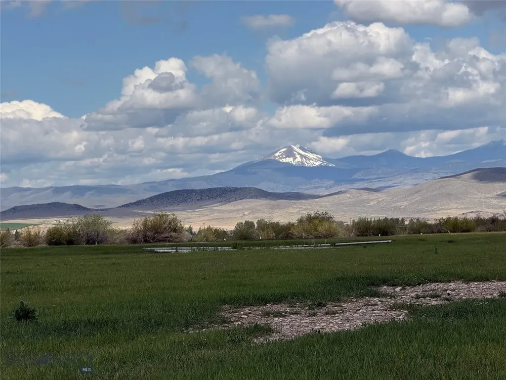 Tbd Blacktail Road Dillon MT 59725