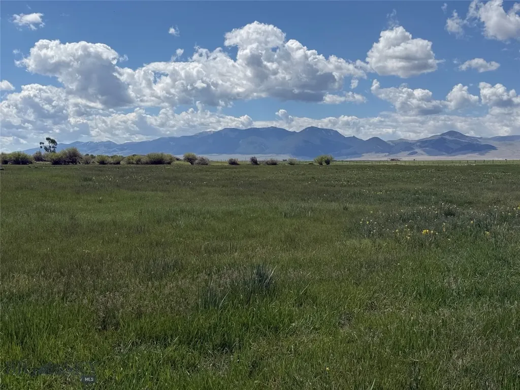 Tbd Blacktail Road Dillon MT 59725