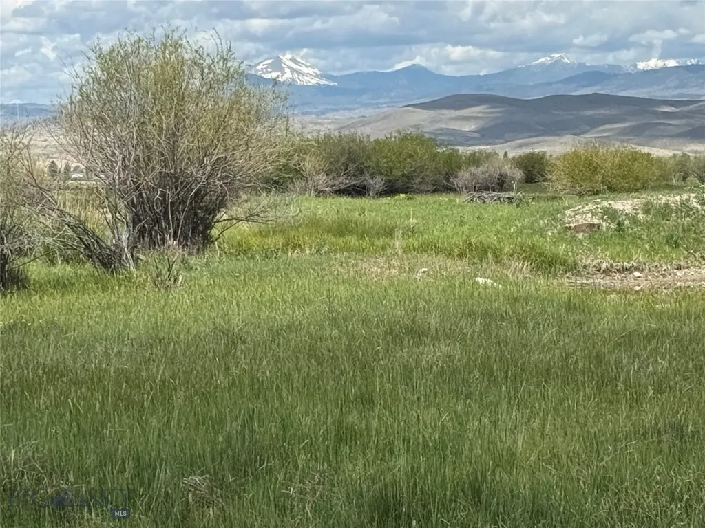 Tbd Blacktail Road Dillon MT 59725