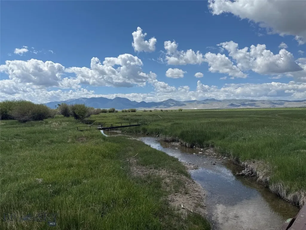 Tbd Blacktail Road Dillon MT 59725