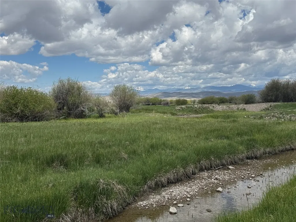 Tbd Blacktail Road Dillon MT 59725