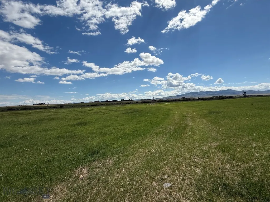 Tbd Blacktail Road Dillon MT 59725