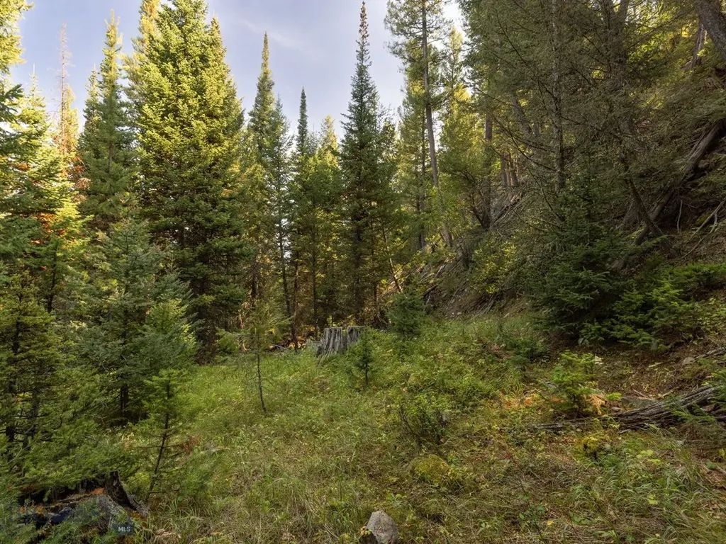 Tbd Sweetroot Fork Big Sky MT 59716