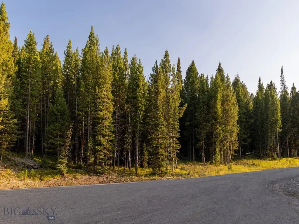 Tbd Sweetroot Fork Big Sky MT 59716