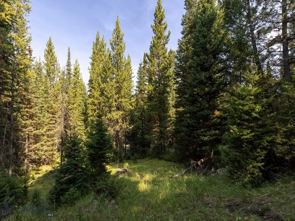 Tbd Sweetroot Fork Big Sky MT 59716