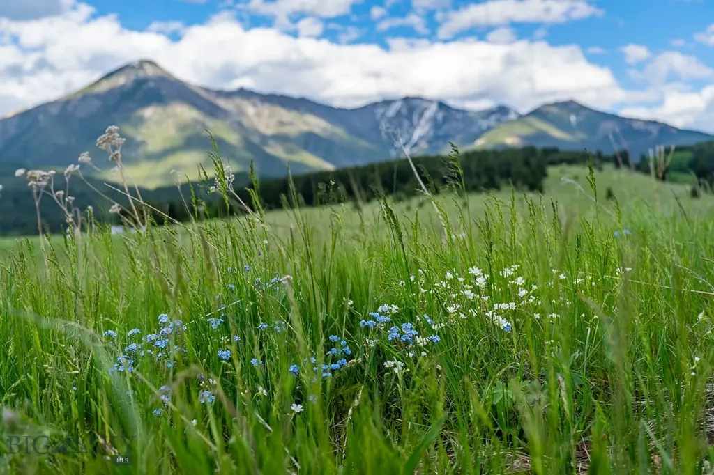 00 Above Paradise Trail Livingston MT 59047