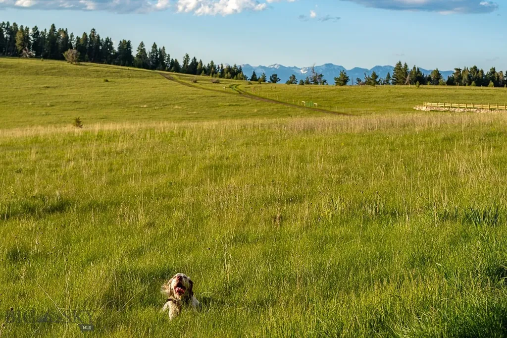 00 Above Paradise Trail Livingston MT 59047