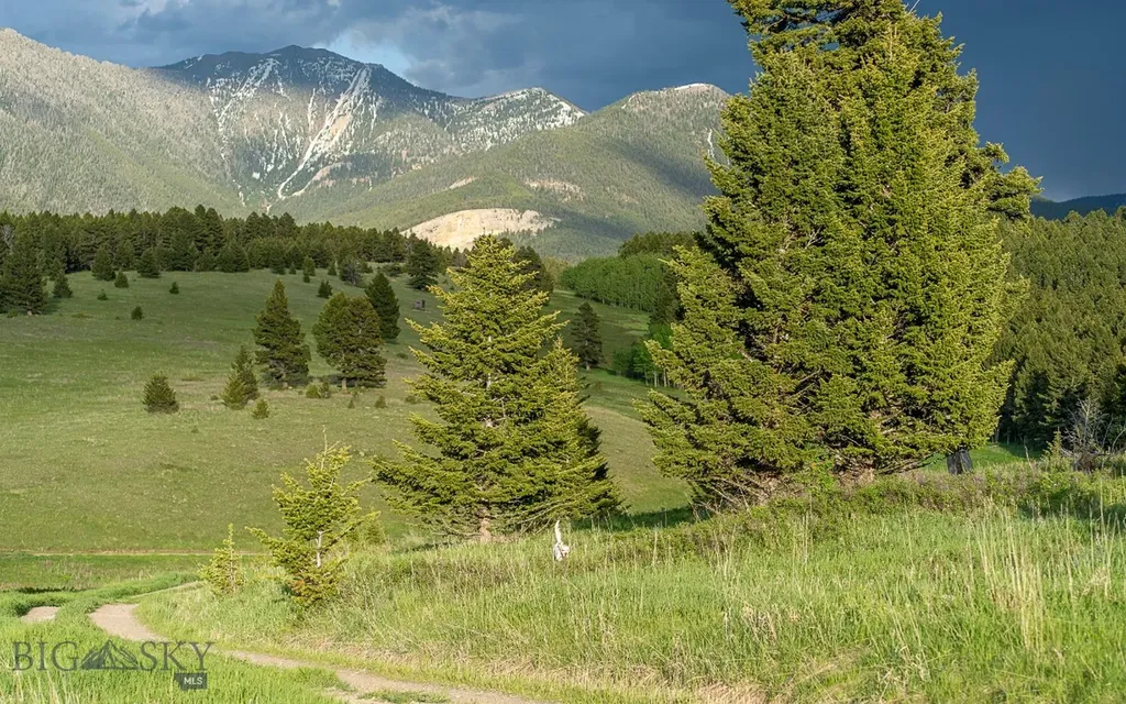 00 Above Paradise Trail Livingston MT 59047