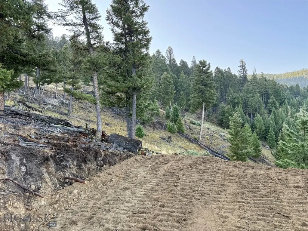 Lot 6 Ruby Mine Road Butte MT 59701