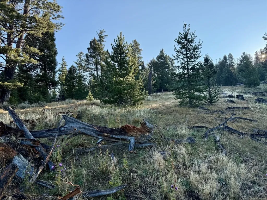 Lot 6 Ruby Mine Road Butte MT 59701