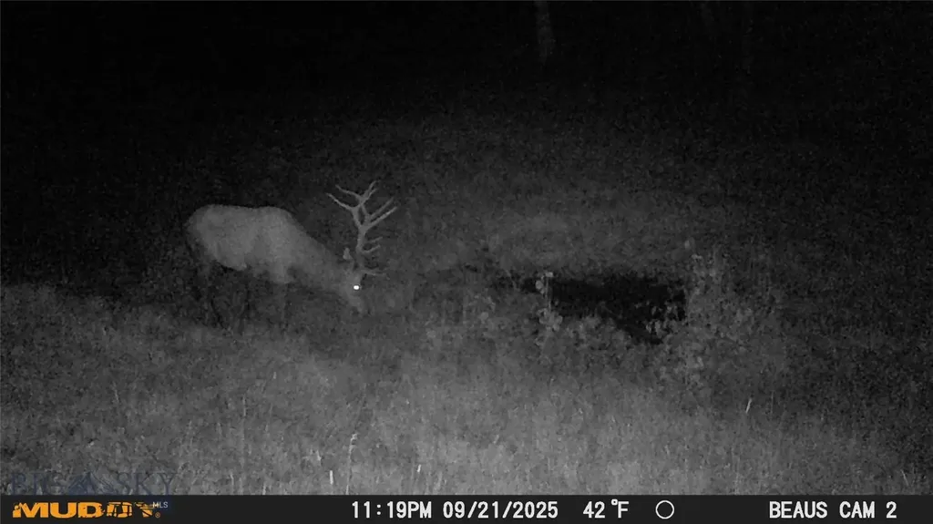 Lot 6 Ruby Mine Road Butte MT 59701