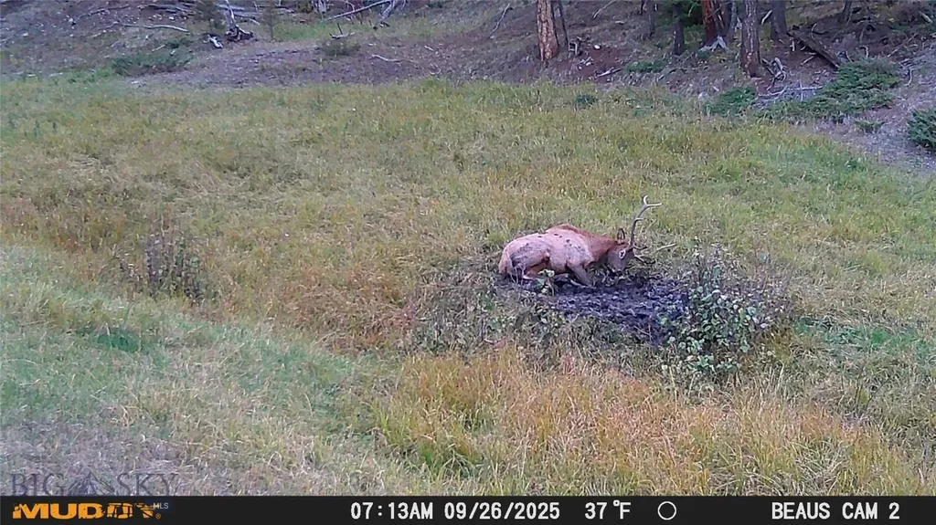 Lot 6 Ruby Mine Road Butte MT 59701