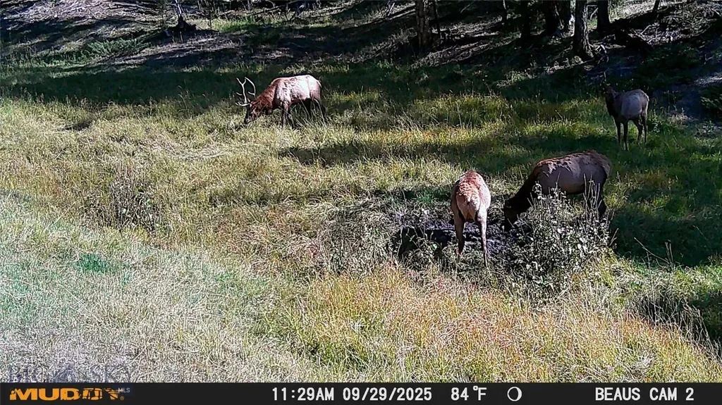 Lot 6 Ruby Mine Road Butte MT 59701