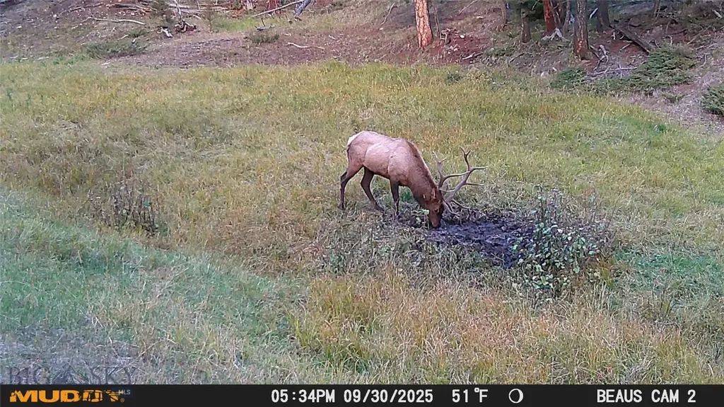 Lot 6 Ruby Mine Road Butte MT 59701