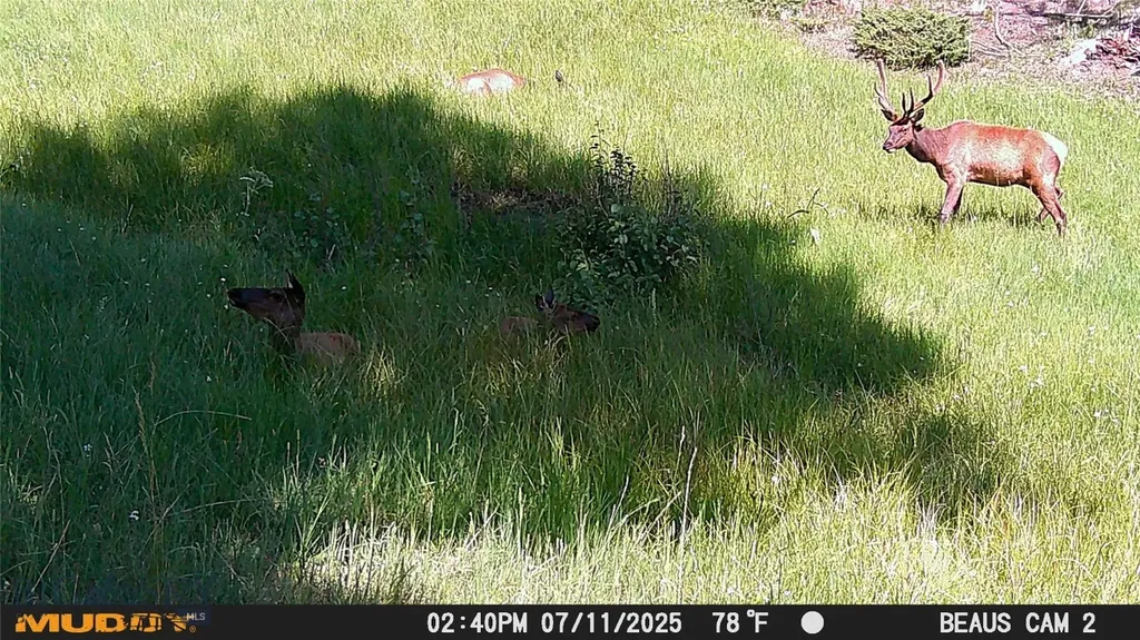 Lot 6 Ruby Mine Road Butte MT 59701