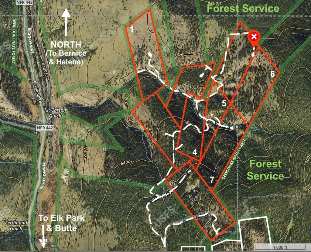 Lot 6 Ruby Mine Road Butte MT 59701