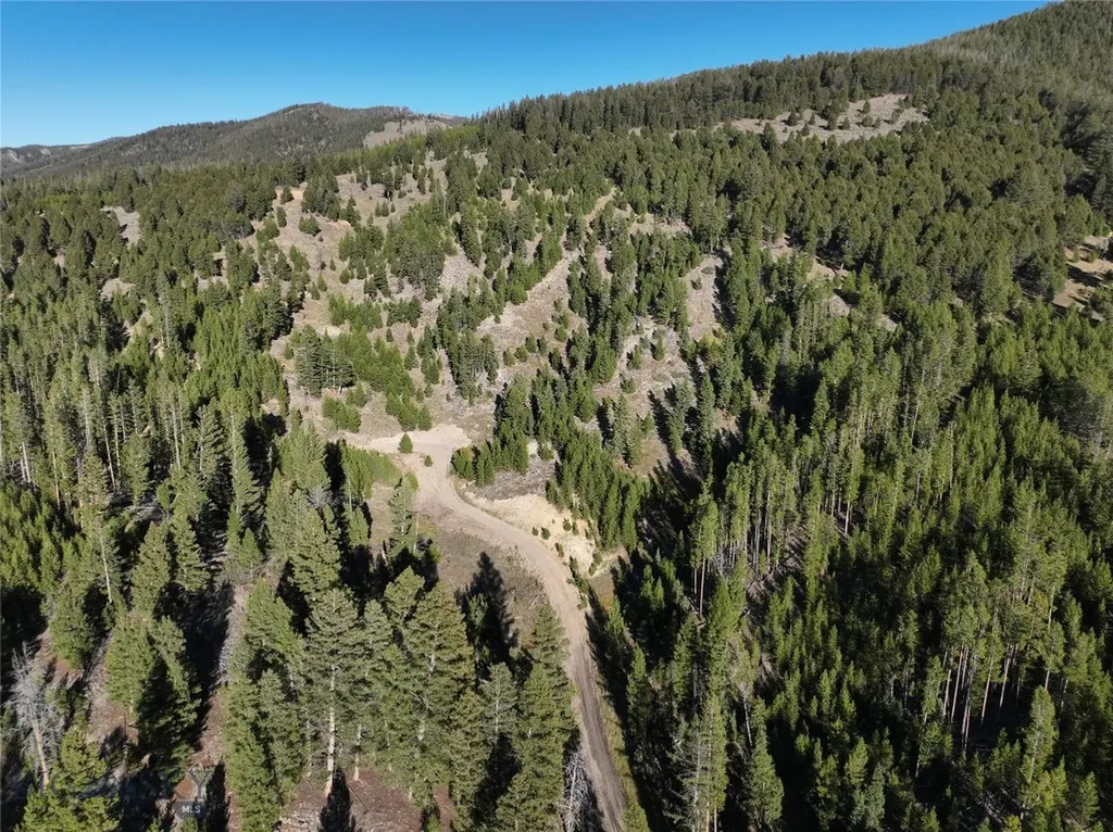 Lot 6 Ruby Mine Road Butte MT 59701