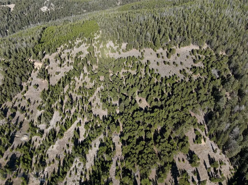 Lot 6 Ruby Mine Road Butte MT 59701
