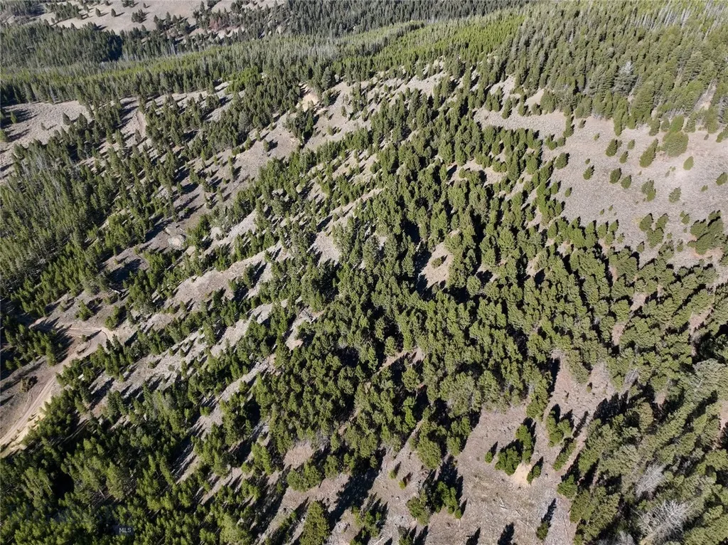 Lot 6 Ruby Mine Road Butte MT 59701