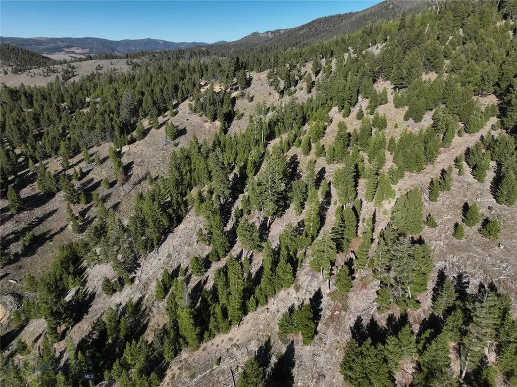 Lot 6 Ruby Mine Road Butte MT 59701