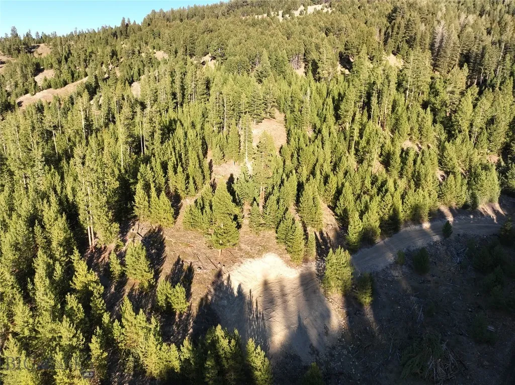 Lot 5 Ruby Mine Road Butte MT 59701