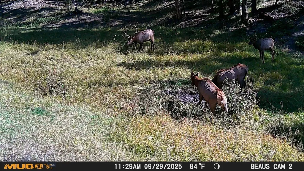 Lot 5 Ruby Mine Road Butte MT 59701
