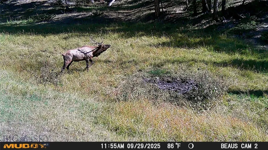 Lot 5 Ruby Mine Road Butte MT 59701