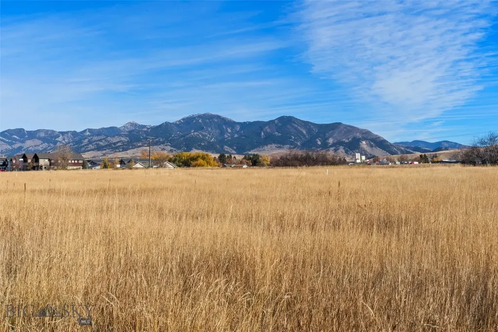 818 Matheson Way Bozeman MT 59715