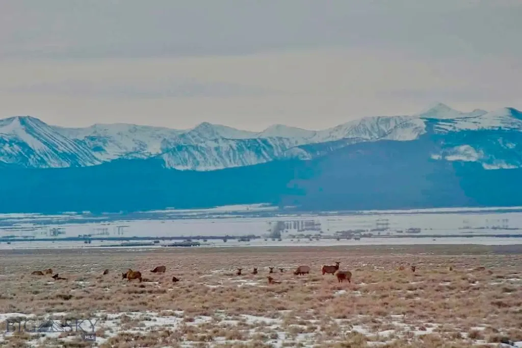 1624 Steel Creek Road Wisdom MT 59761