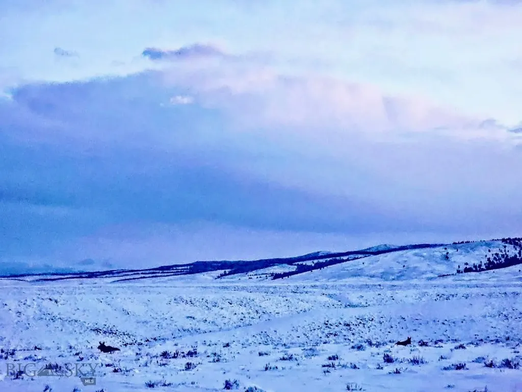 1624 Steel Creek Road Wisdom MT 59761
