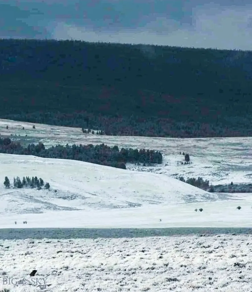 1624 Steel Creek Road Wisdom MT 59761