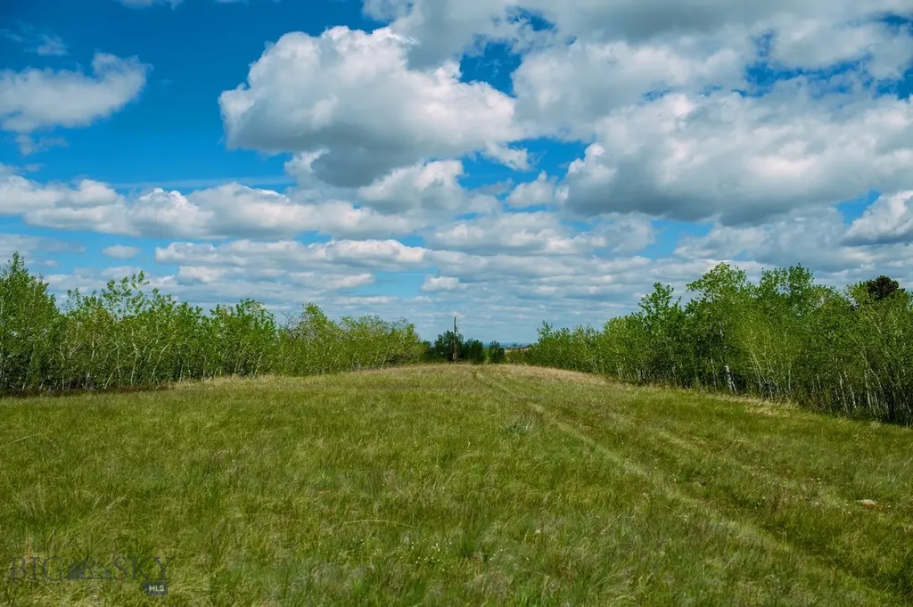 Nhn Highway 78 Red Lodge MT 59068