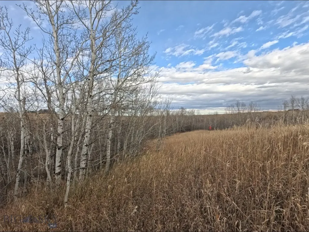 Nhn Highway 78 Red Lodge MT 59068