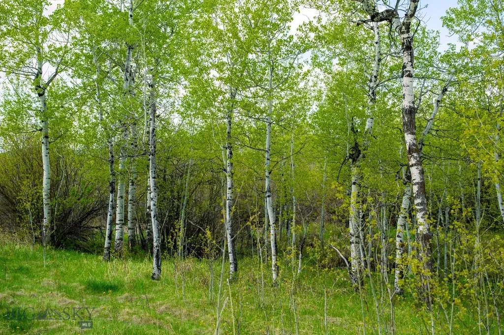 Nhn Highway 78 Red Lodge MT 59068