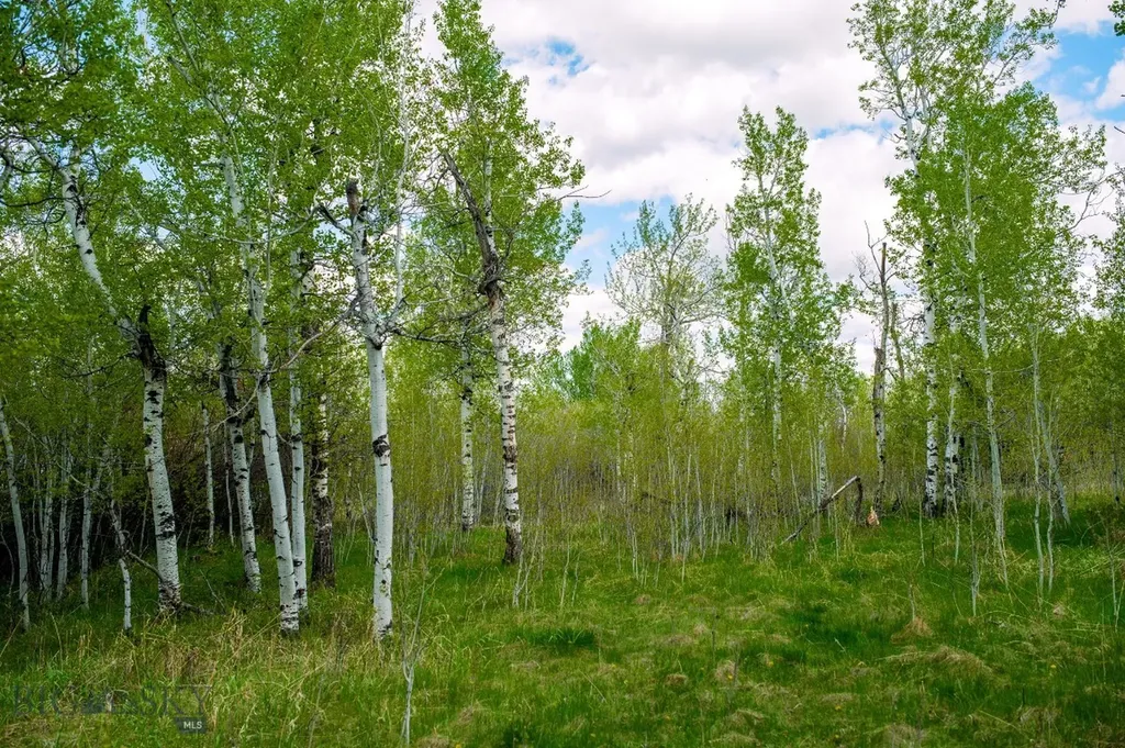 Nhn Highway 78 Red Lodge MT 59068