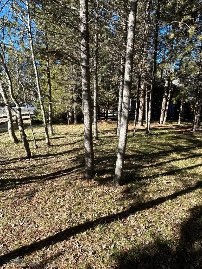 505 Gallatin West Yellowstone MT 59758