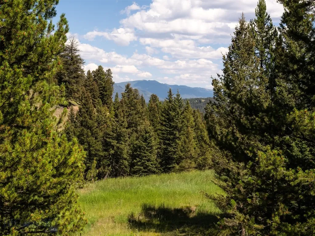 Lot 103 W Elk Valley Road Big Sky MT 59716
