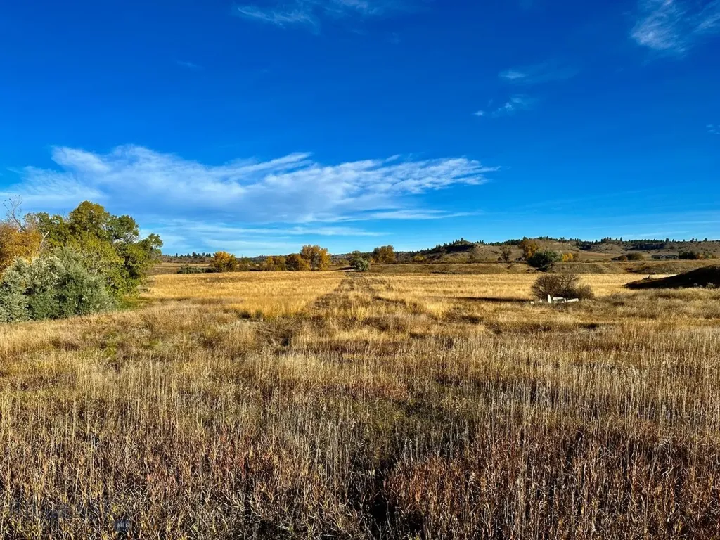 Tbd Centennial Road Columbus MT 59019
