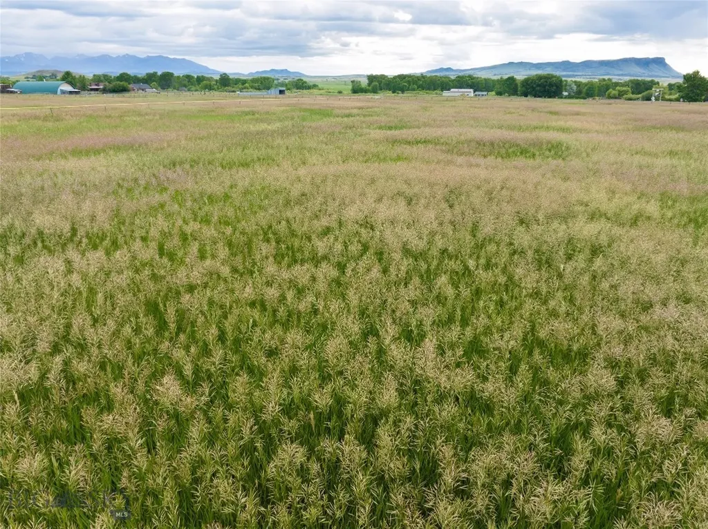 28 W Grannis Livingston MT 59047